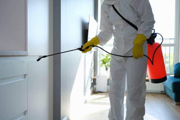 Best Commercial Mold Removal  in Ladysmith, WI